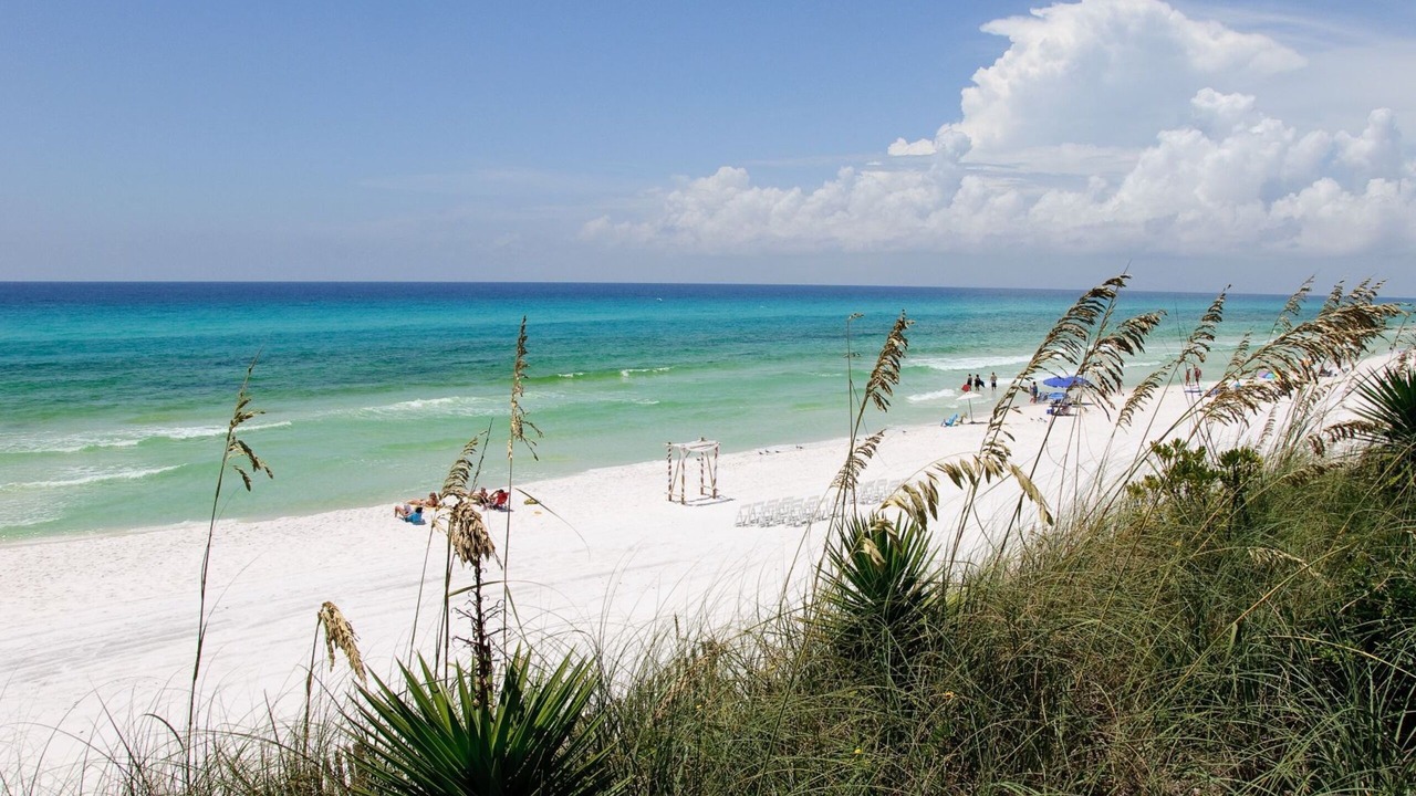 Photo of Others in Sandestin