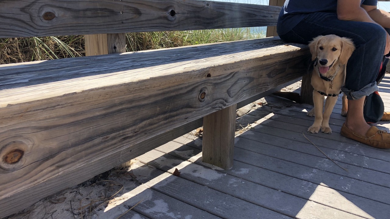 Photo of Others in Seagrove Beach