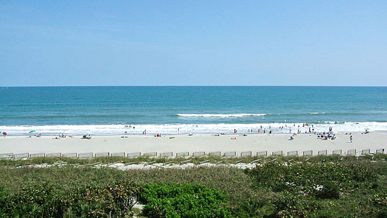 Photo of Others in Port Canaveral