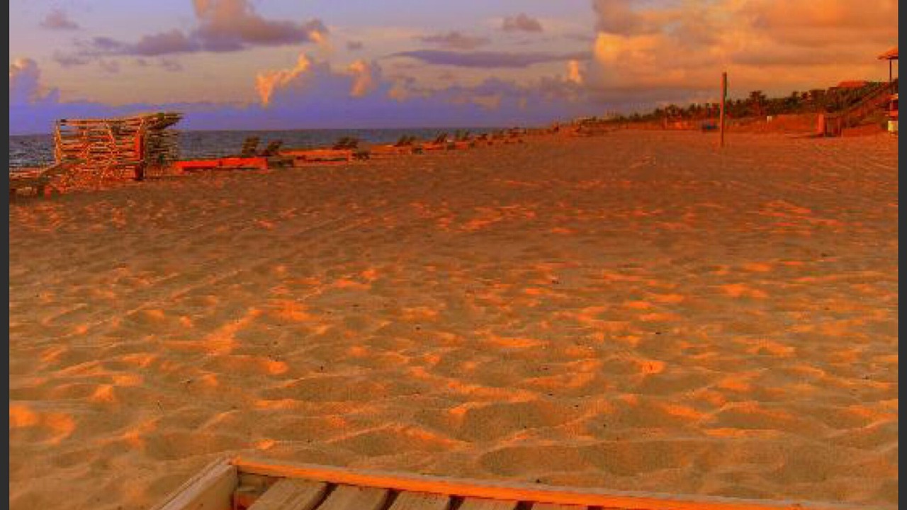 Photo of Others in Delray Beach