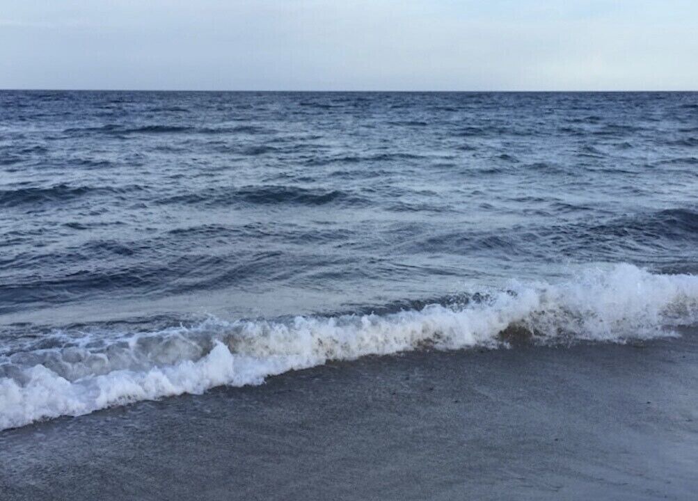 Photo of Others in Delray Beach