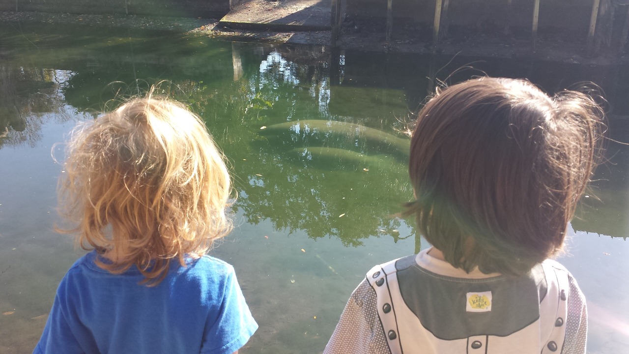 Photo of Outdoor in Weeki Wachee Gardens