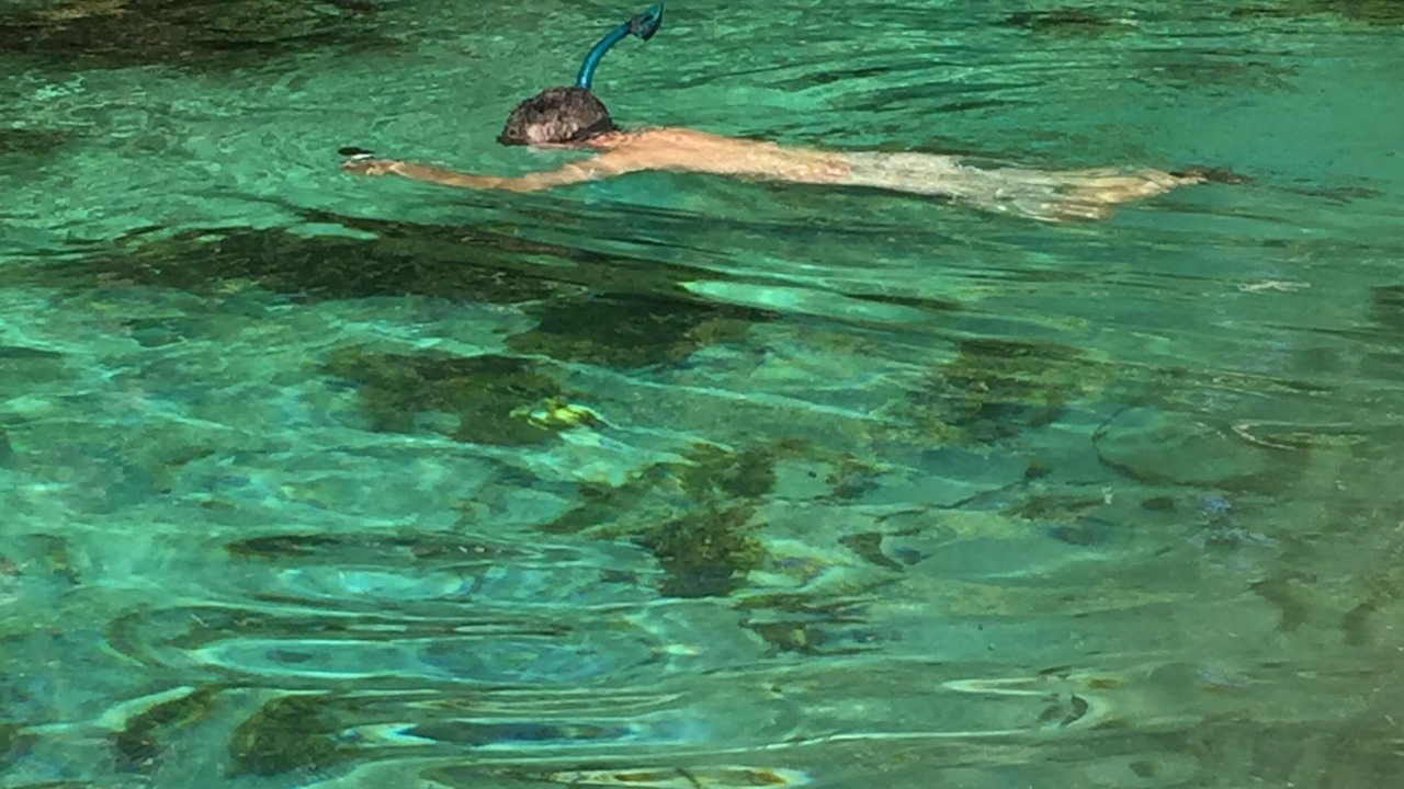 Photo of Others in Weeki Wachee Gardens