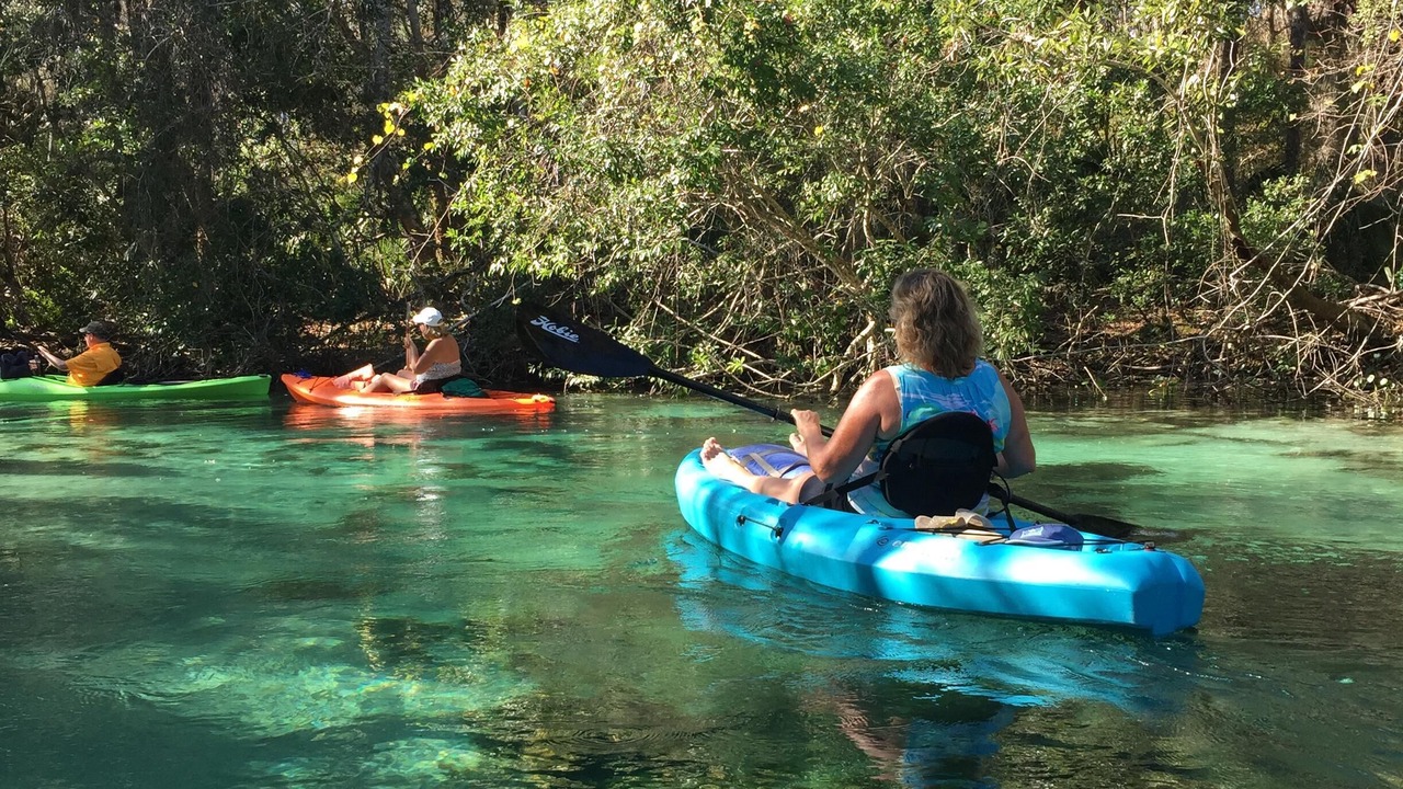 Photo of Others in Weeki Wachee Gardens