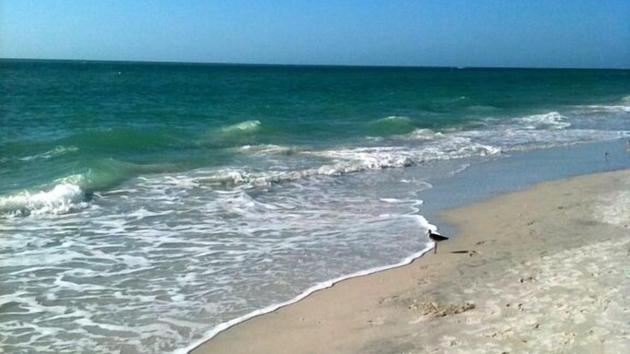 Photo of Others in Vanderbilt Beach