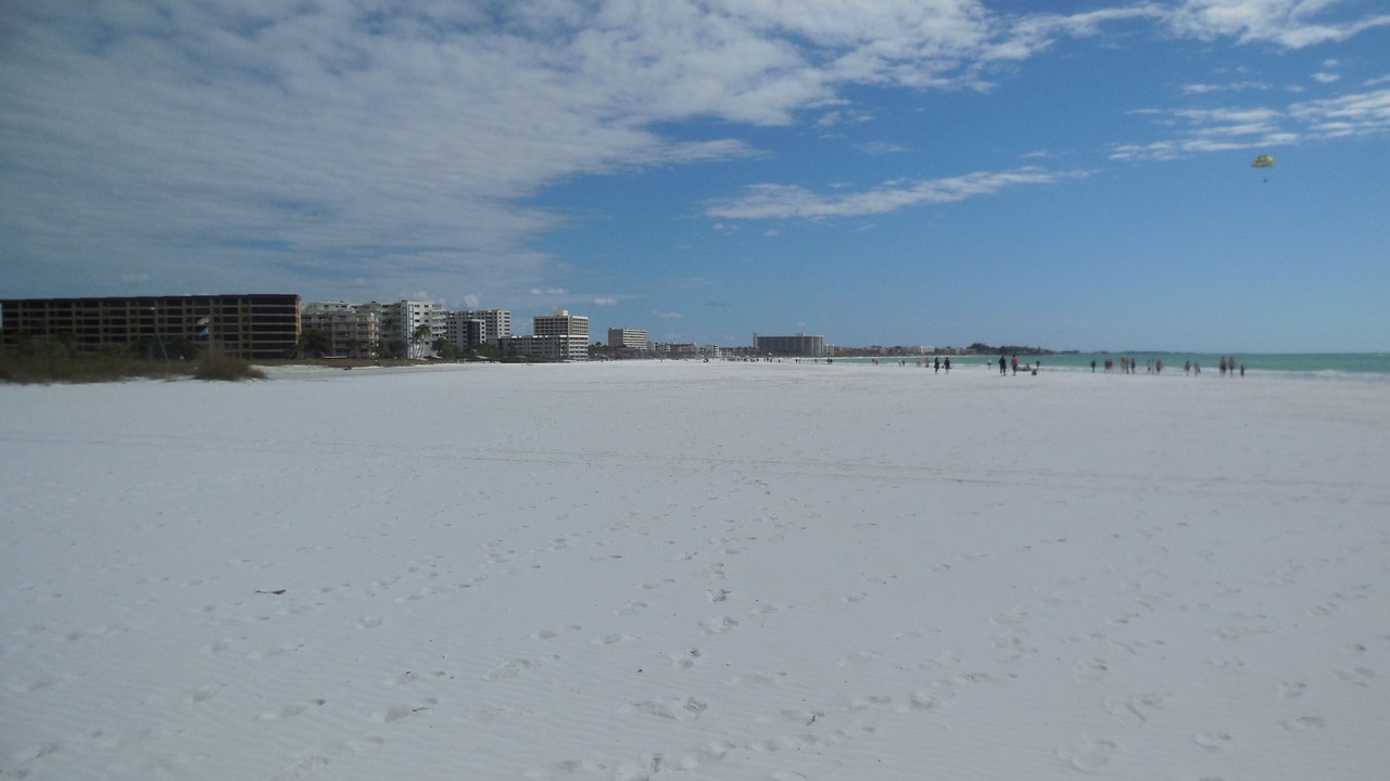 Photo of Others in Siesta Key