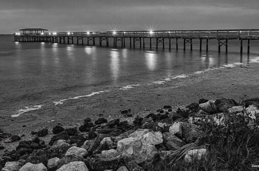 Photo of Others in Safety Harbor