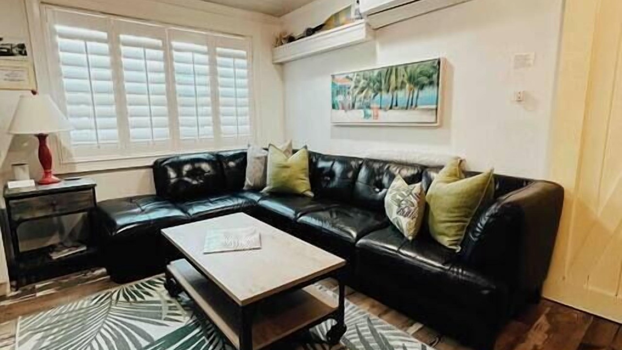 Photo of Livingroom in Safety Harbor