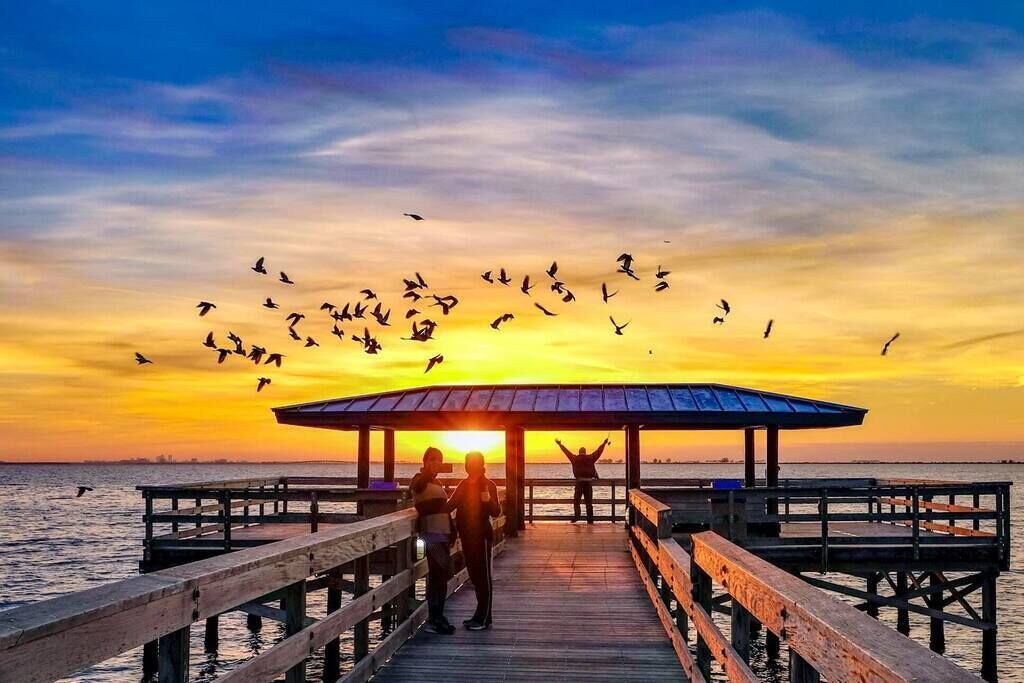 Photo of Others in Safety Harbor