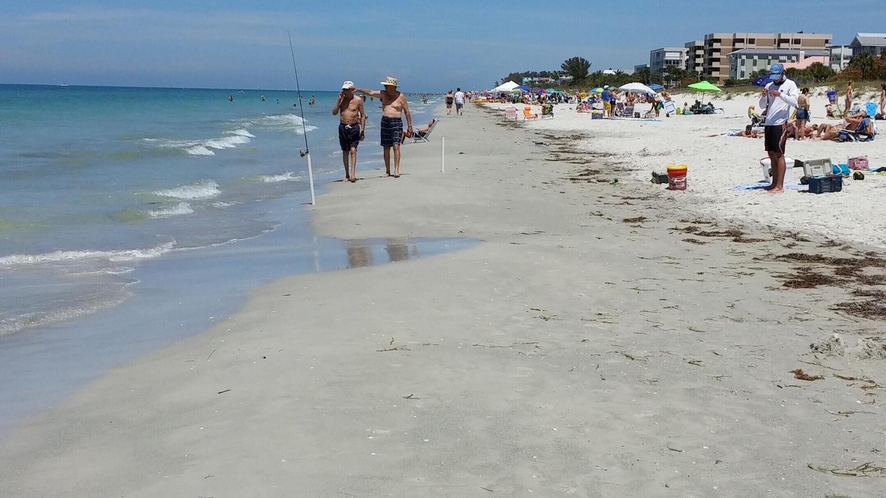 Photo of Others in Indian Rocks Beach