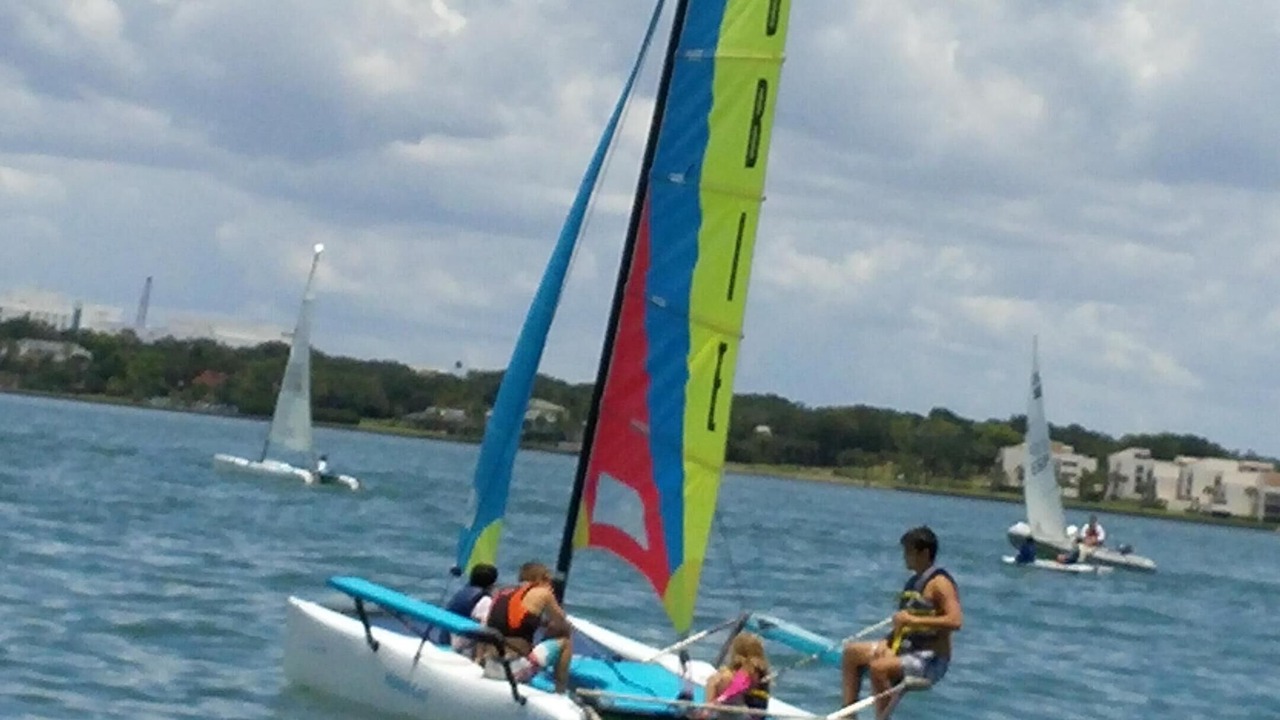 Photo of Others in Indian Rocks Beach