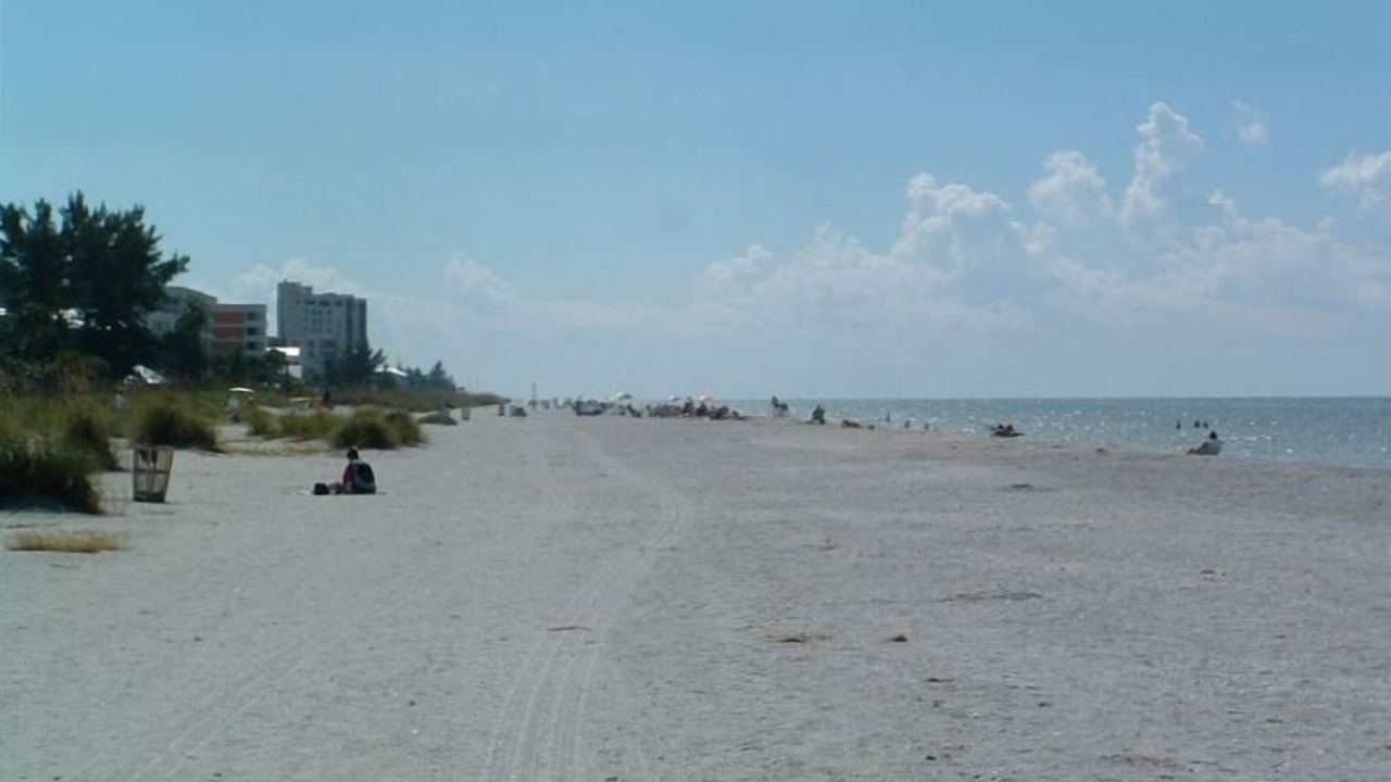 Photo of Others in Indian Rocks Beach