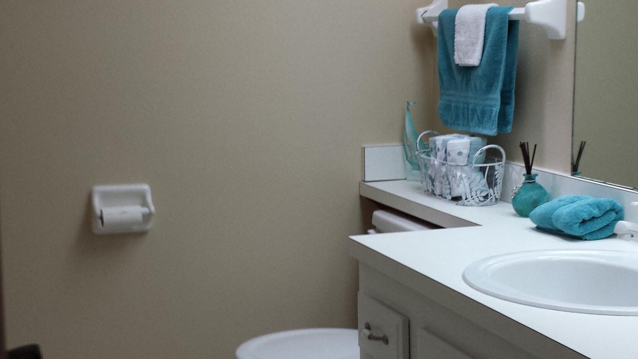 Photo of Bathroom in Oldsmar