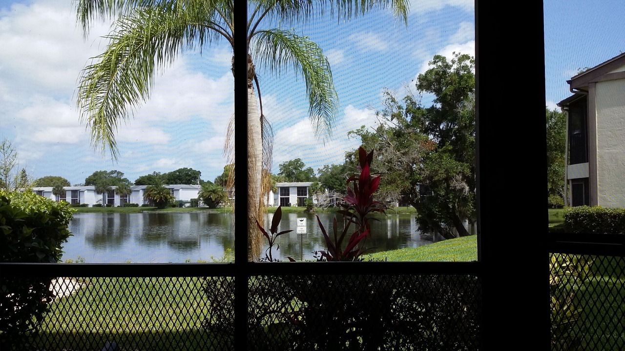 Photo of Others in Oldsmar