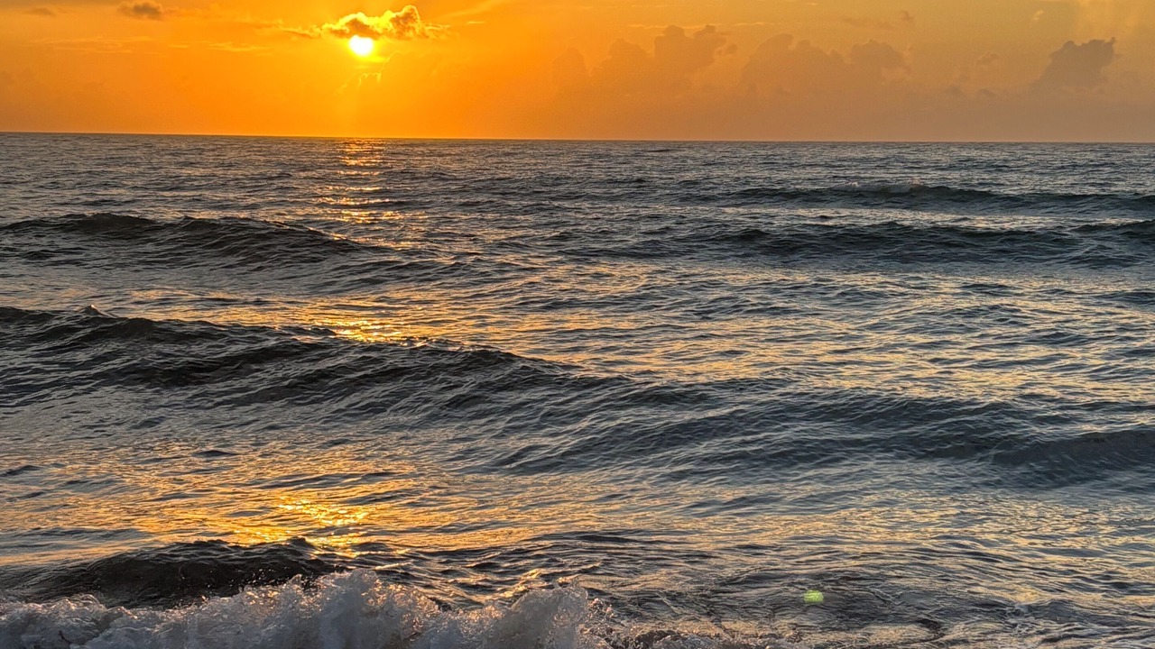 Photo of Others in Hutchinson Island South