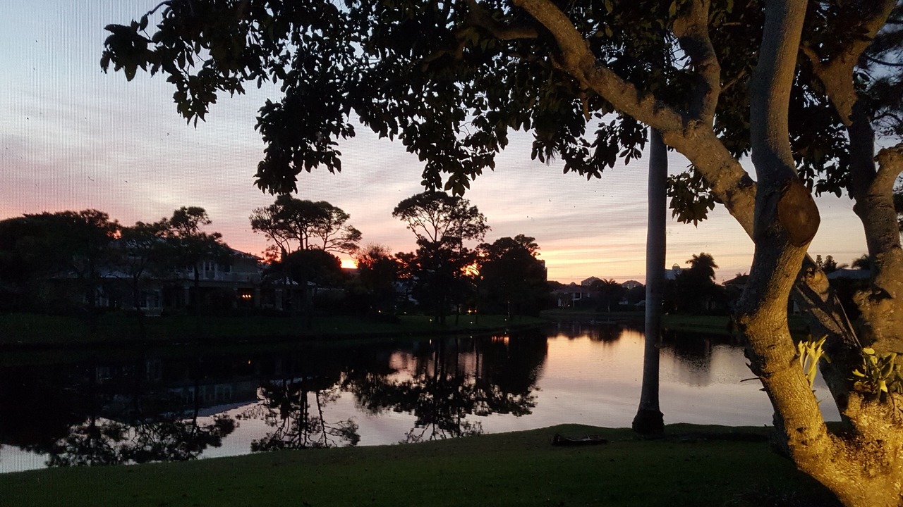 Photo of Outdoor in Park Shore