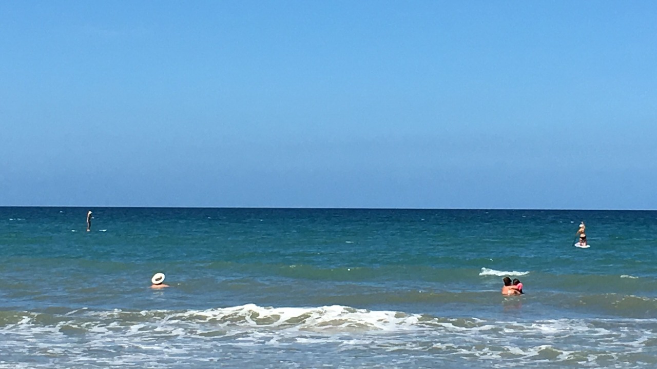 Photo of Others in Nettles Island