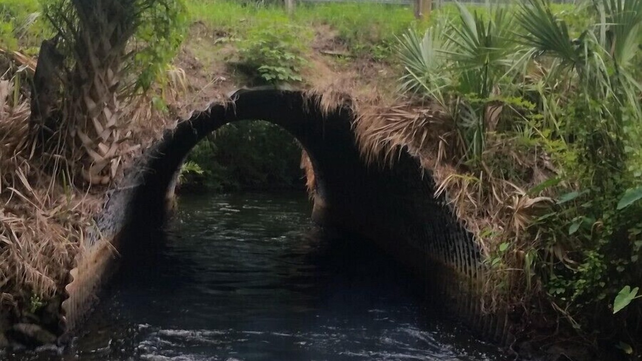 Photo of Others in Chassahowitzka