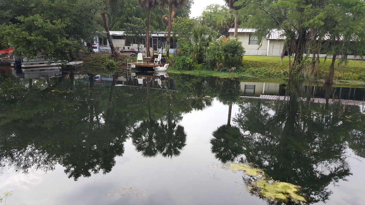 Photo of Others in Chassahowitzka