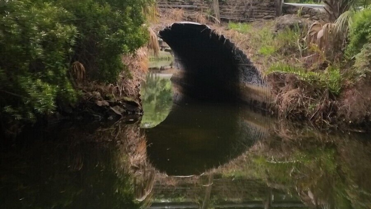 Photo of Others in Chassahowitzka