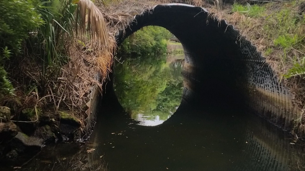 Photo of Others in Chassahowitzka