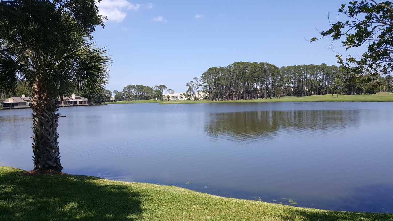 Photo of Outdoor in Sawgrass