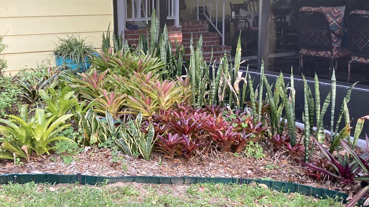 Photo of Others in Mount Dora