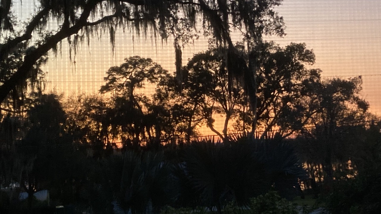 Photo of Others in Mount Dora
