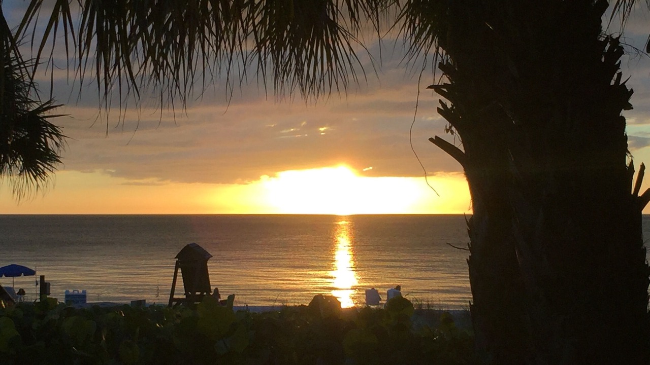 Photo of Others in Vanderbilt Beach