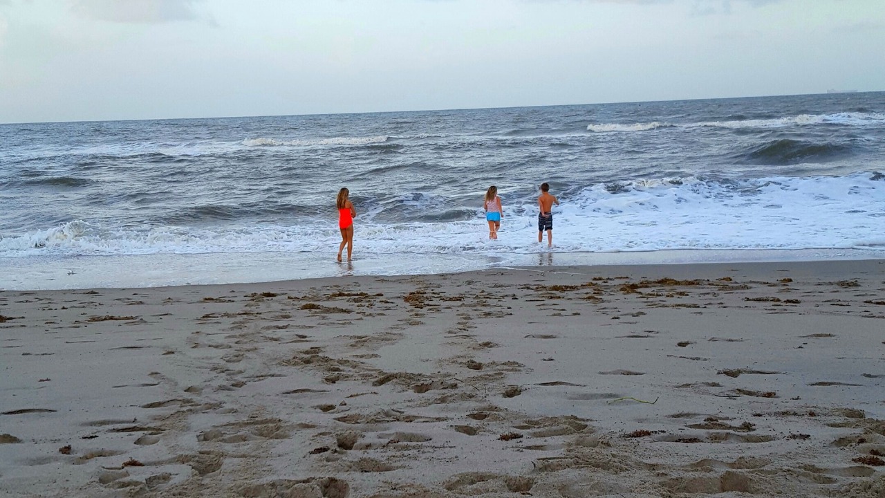 Photo of Others in Juno Beach