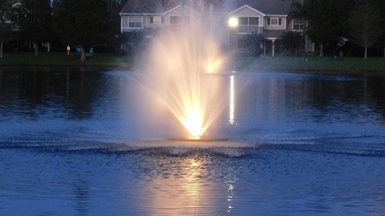 Photo of Others in Braden River