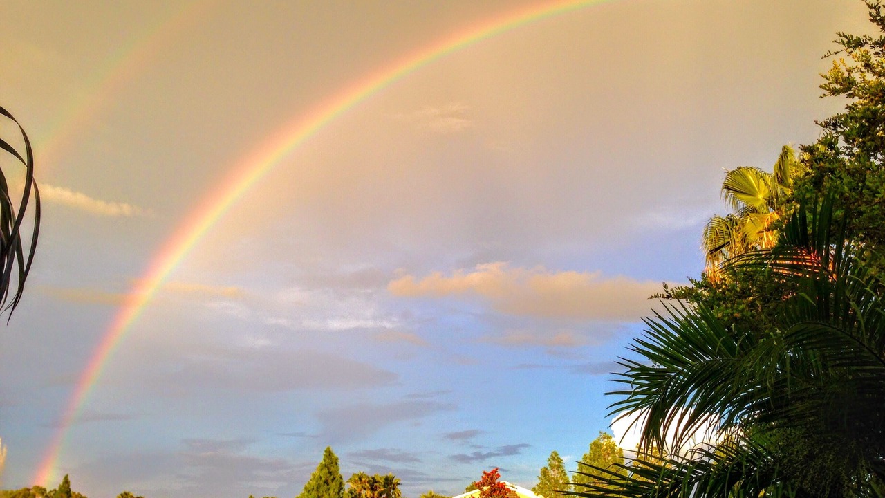 Photo of Others in Braden River