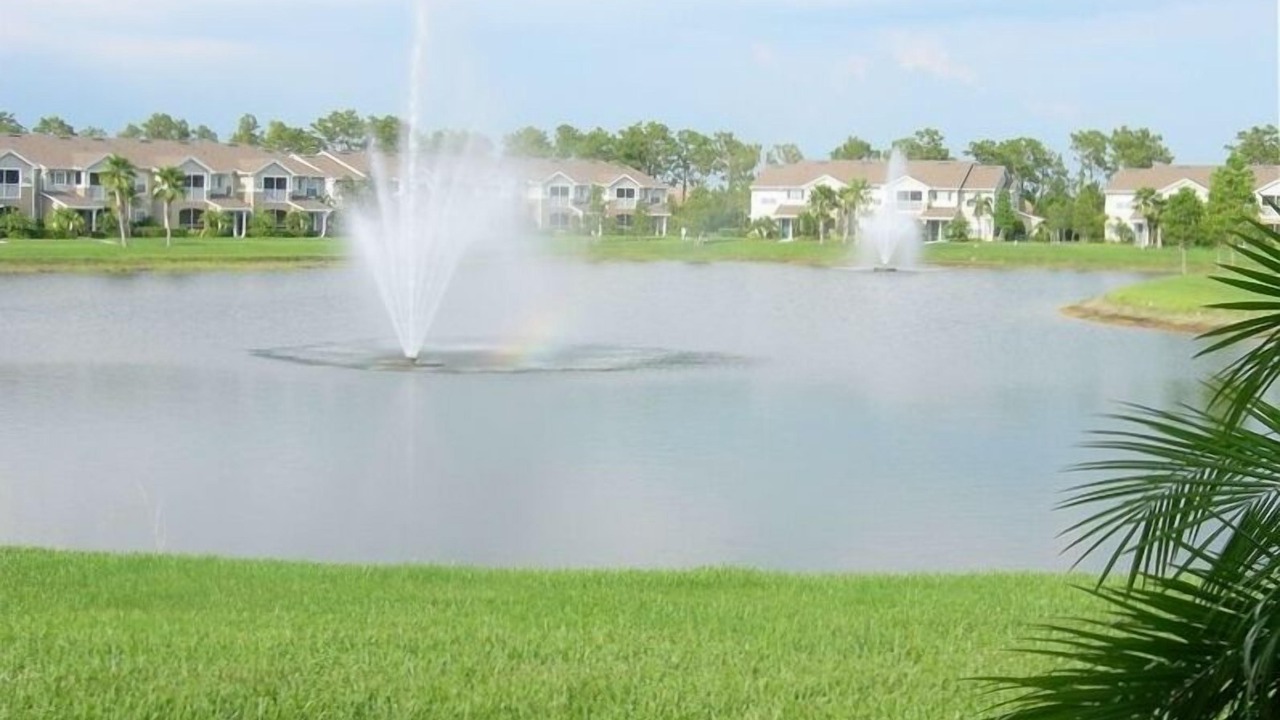 Photo of Outdoor in Braden River