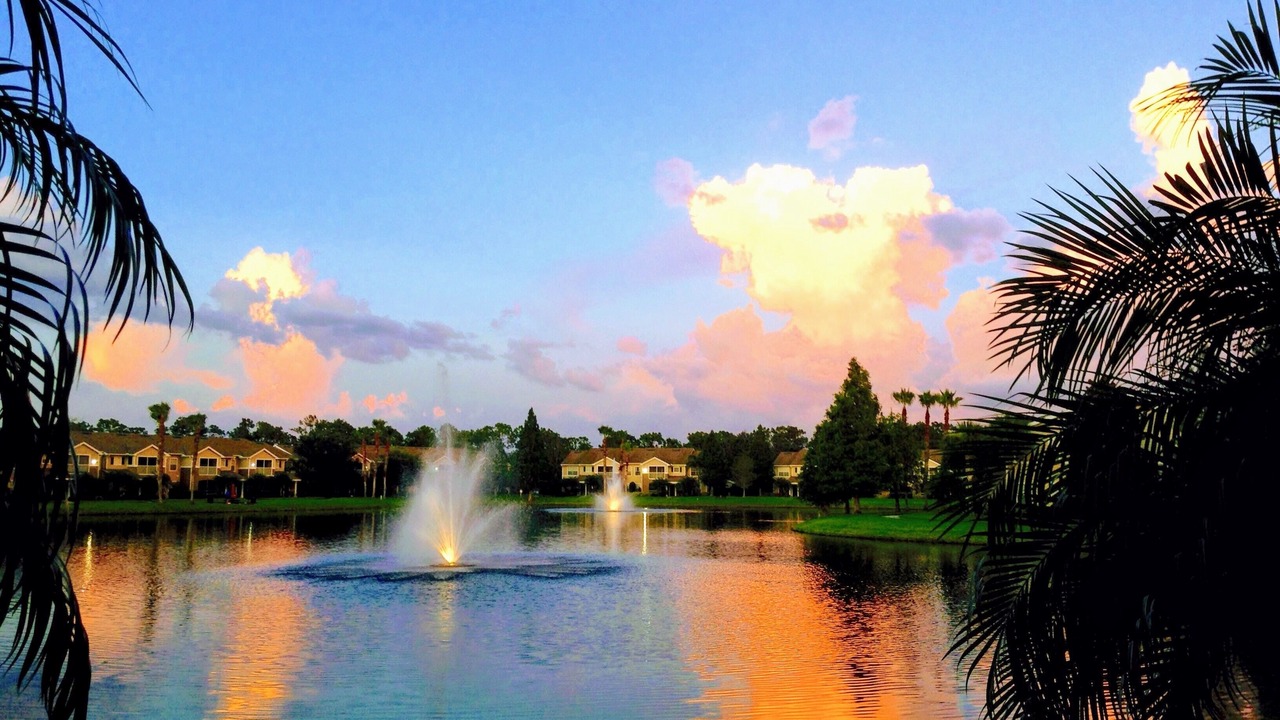 Photo of Outdoor in Braden River