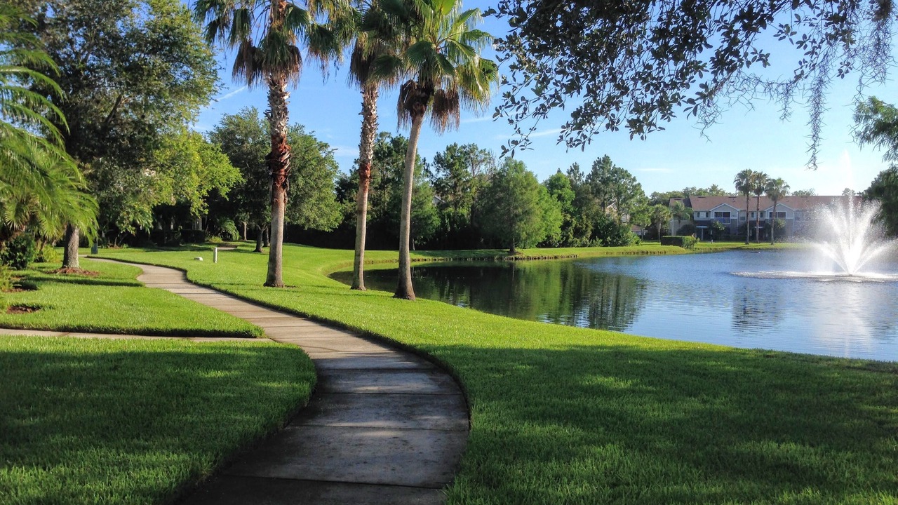 Photo of Outdoor in Braden River