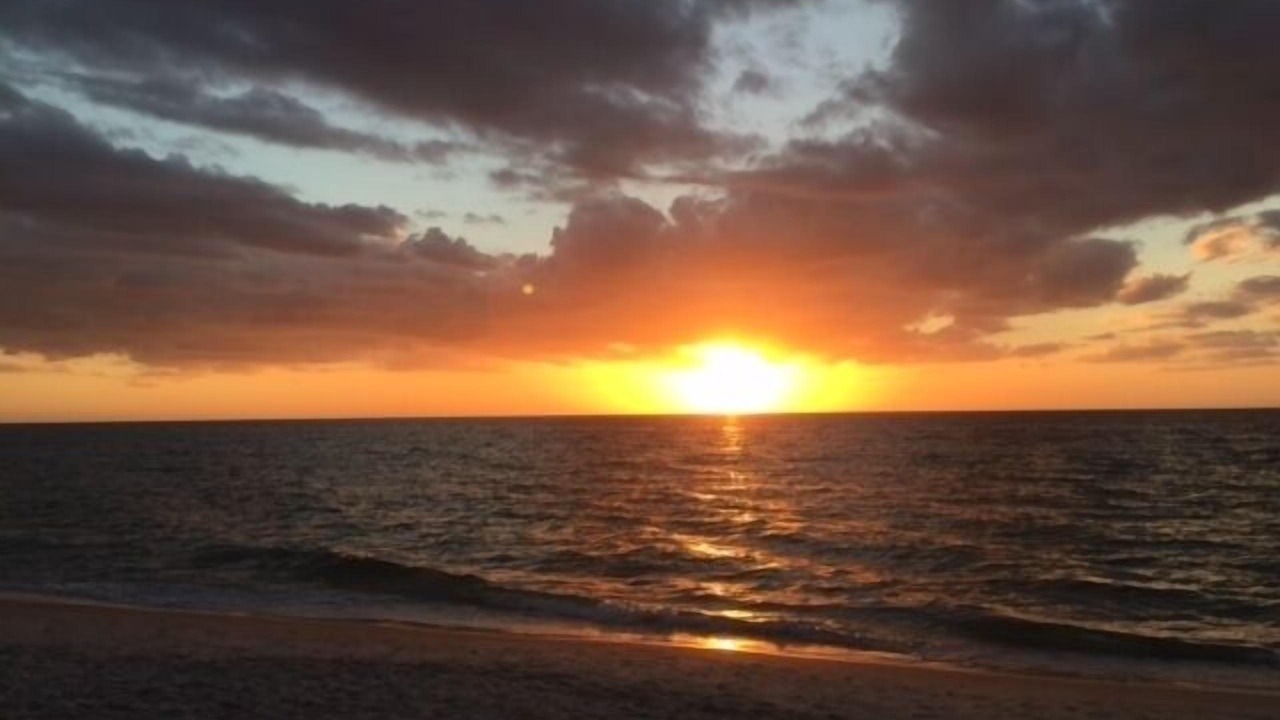Photo of Others in North Naples
