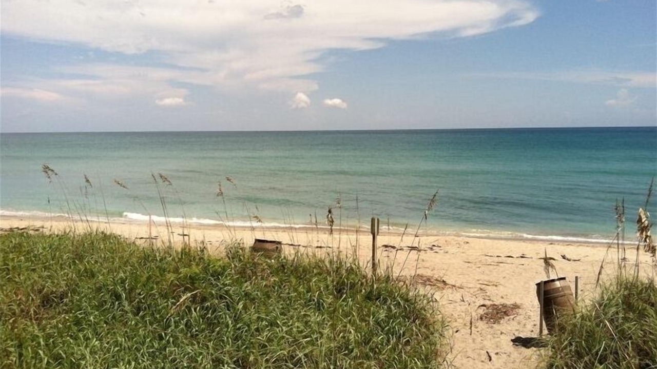 Photo of Others in Jupiter