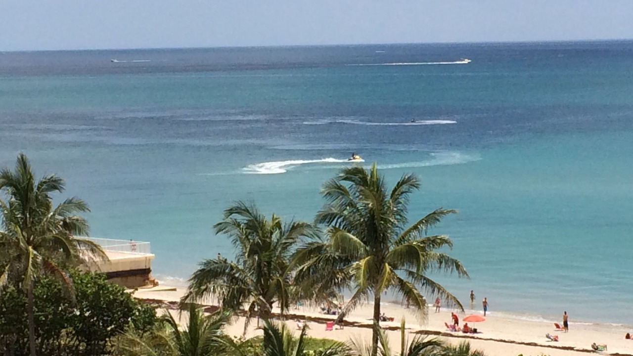 Photo of Others in Jupiter