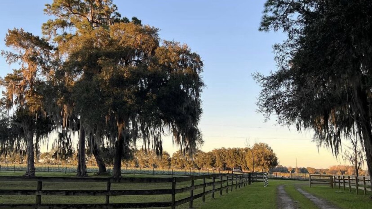 Photo of Others in Alachua