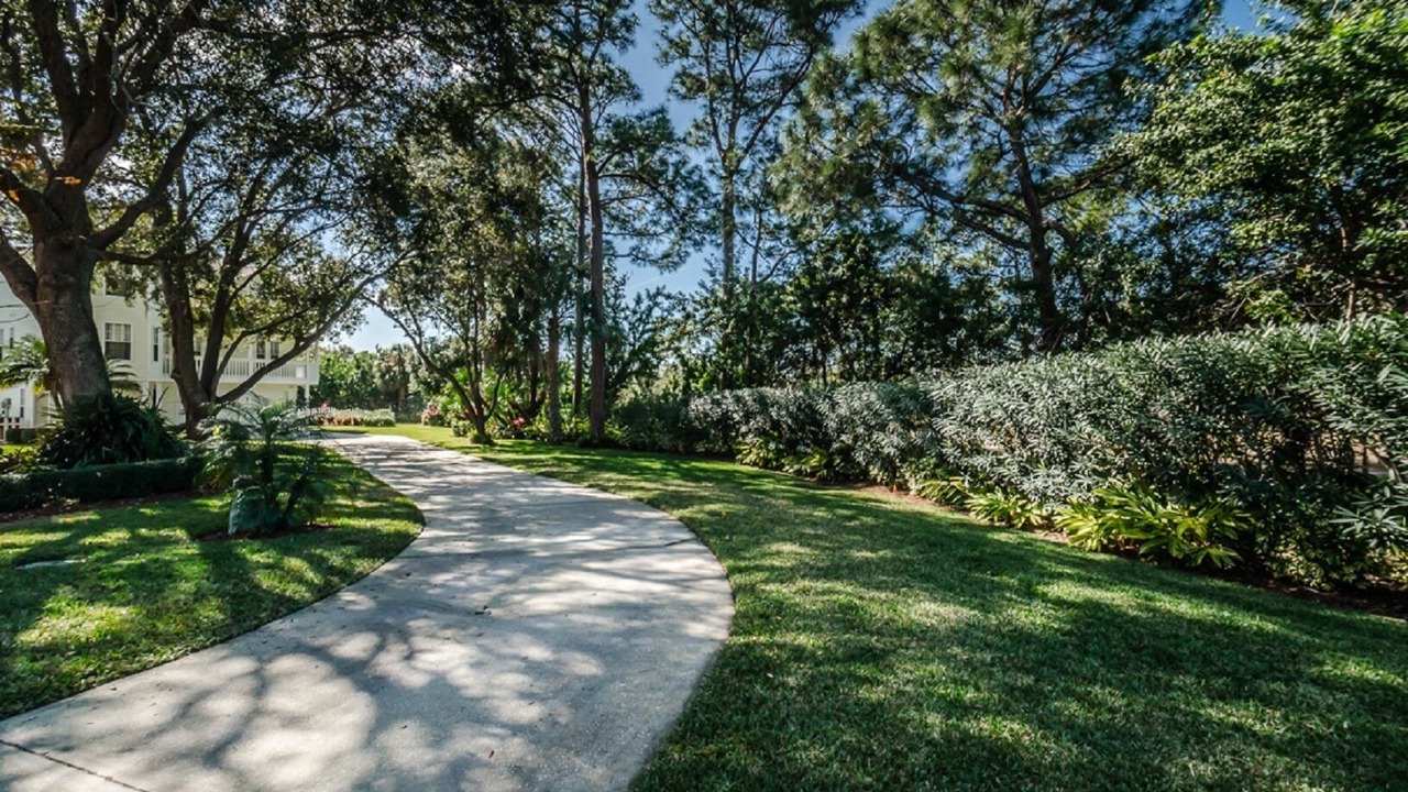 Photo of Outdoor in Palm Harbor