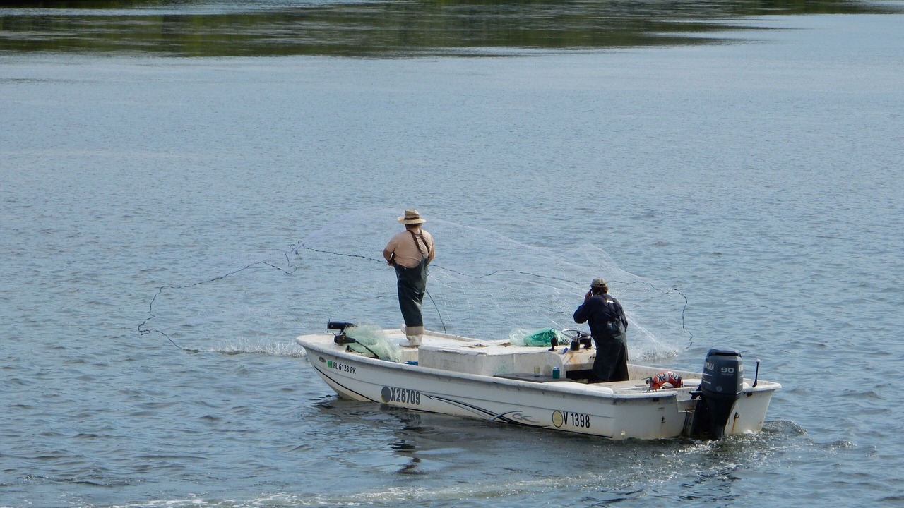 Photo of Outdoor in Siesta Key