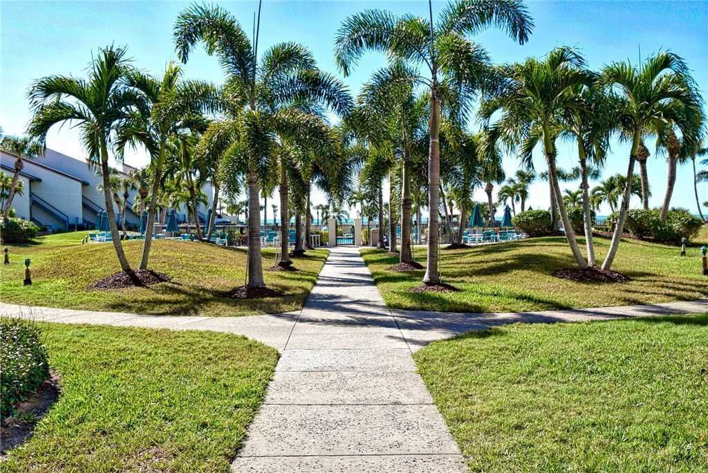 Photo of Outdoor in Siesta Key