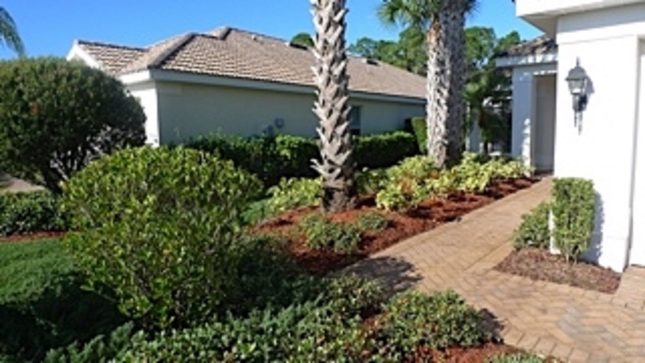 Photo of Others in Fort Myers