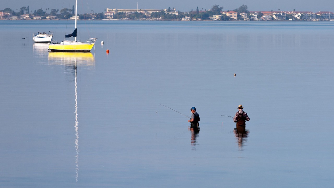Photo of Others in Bayview