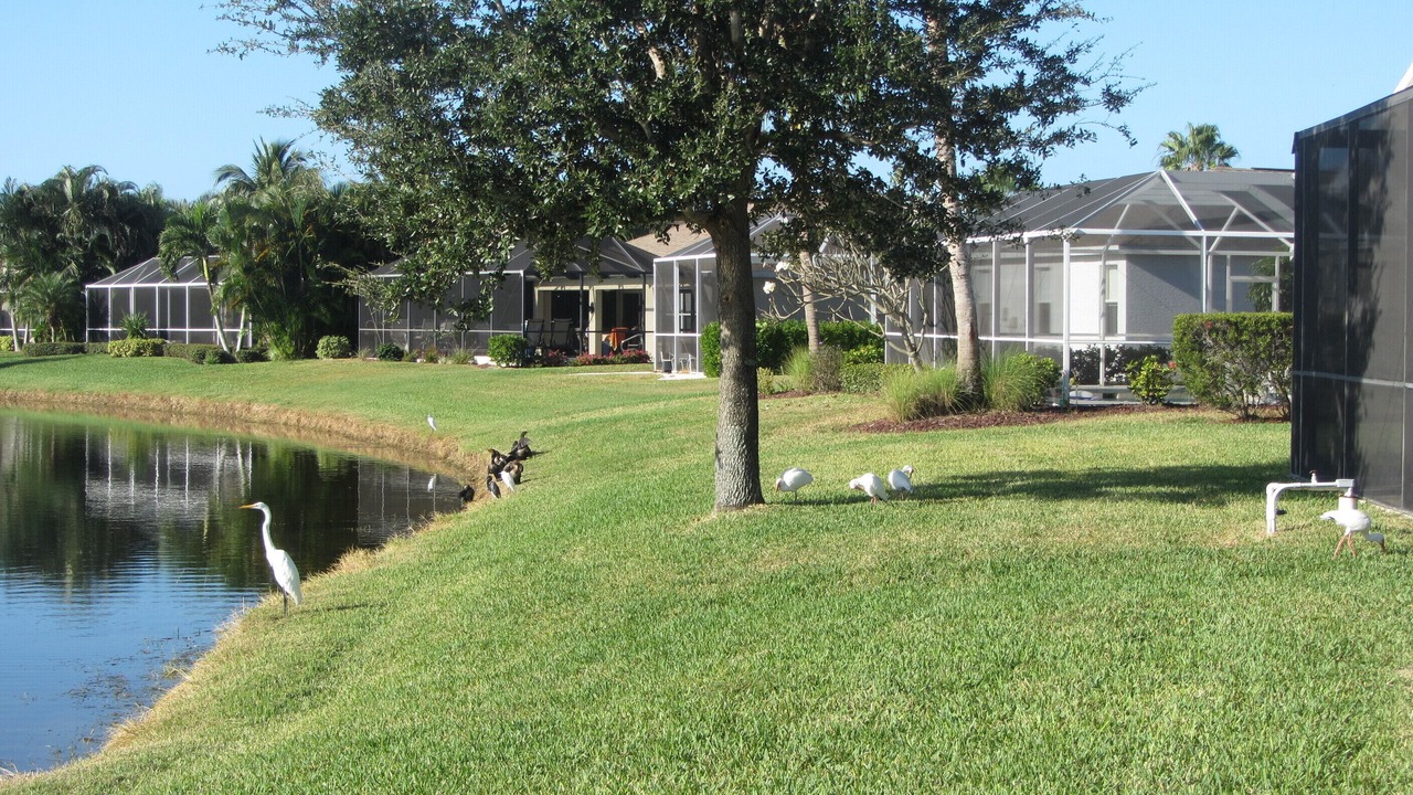 Photo of Outdoor in Beachwalk Isles
