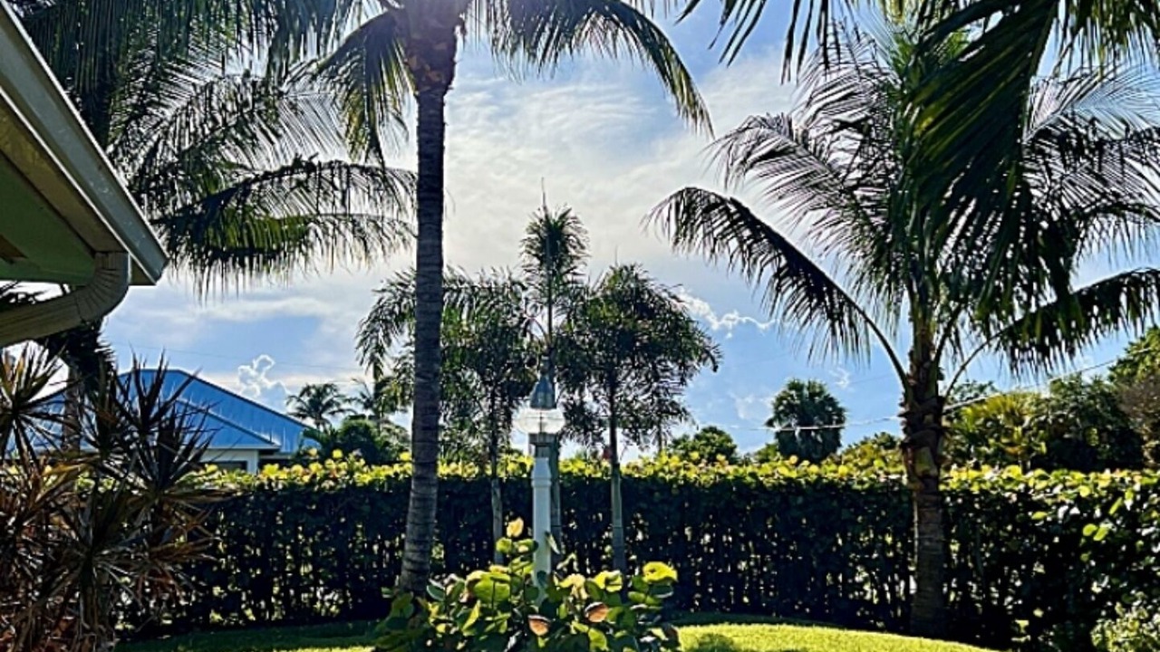 Photo of Outdoor in Juno Beach