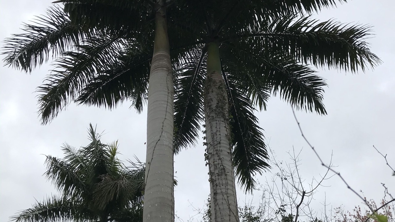 Photo of Outdoor in Central Naples