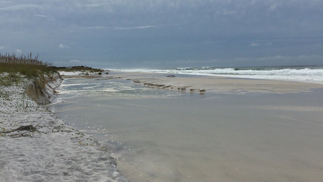 Photo of Others in Seagrove Beach