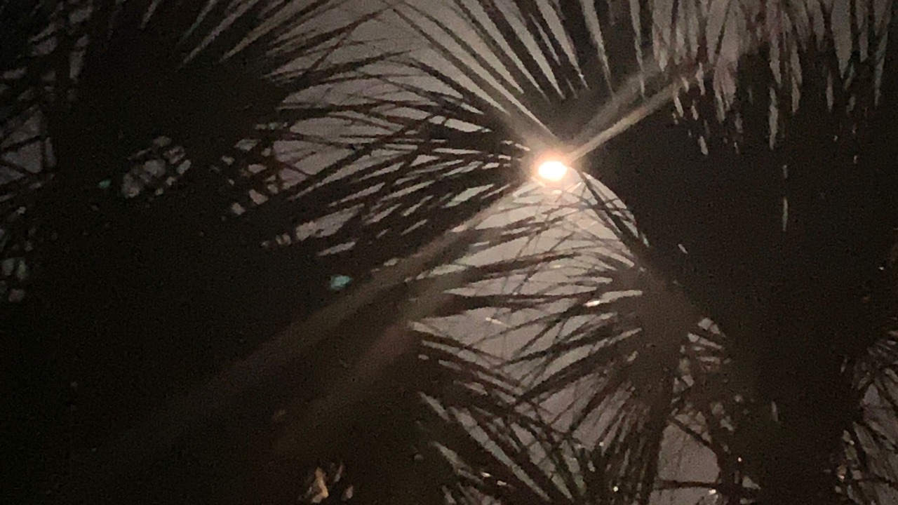 Photo of Others in Seagrove Beach