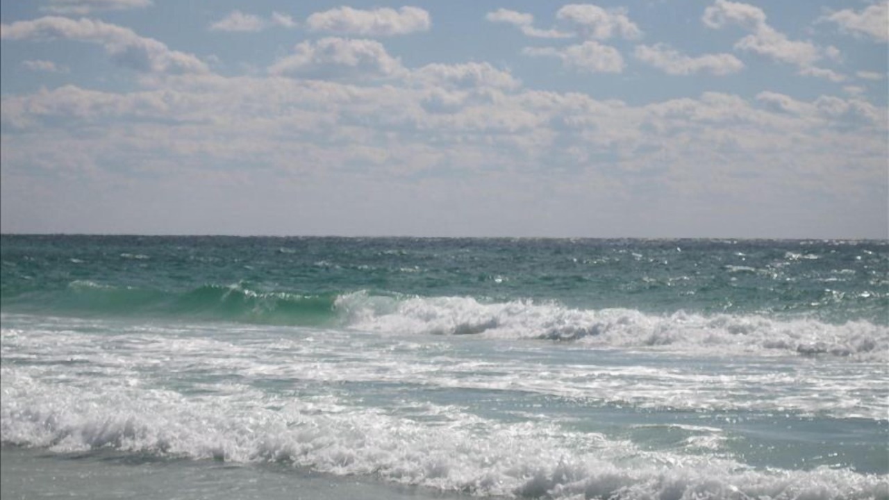 Photo of Others in Seagrove Beach